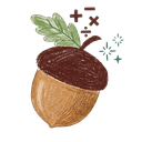 도토리수학 로고